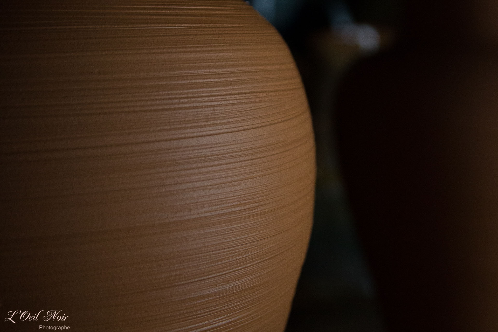 L' Oeil Noir Photographe